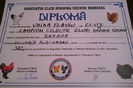 diploma colectie club BHD 382 P