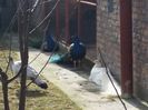20160208_120041