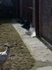 20160208_120024