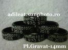 www.adileat.sunphoto.ro