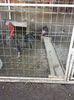 20160209_154628