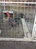 20160209_154625