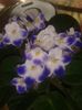 20160207_101033
