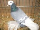 94122645_DODPKAG