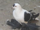 102534015_UADWEYK