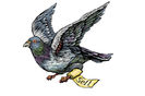 BN-LF581_pigeon_P_20151112120123