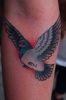 color-flying-pigeon-tattoo