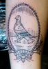 outline-pigeon-frame-tattoo-562x800