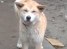 20160210_121531[1]