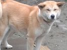 20160210_121518[1]