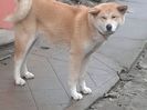 20160202_161519[1]