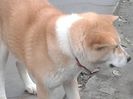 20160202_161625[1]