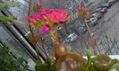20160210_132639