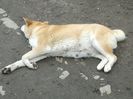 20160208_132358[1]