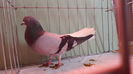 20160211_134647