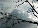 DSCN8232