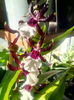 IMG_20160211_160850