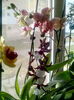 IMG_20160211_161203