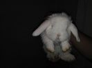 IMG_20160211_182308