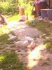 IMG0341A(1)