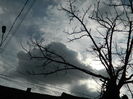 DSCN8229