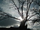 DSCN8231
