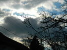 DSCN8255
