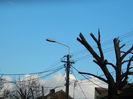 DSCN8259