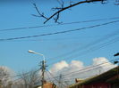 DSCN8266