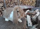 IMG_20160212_154845