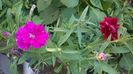 WP_20150716_18_38_02_Pro
