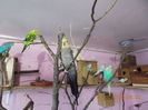 DSCN2644