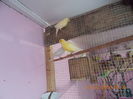 DSCN2632