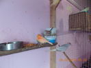 DSCN2633