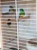 IMG_20160209_140657