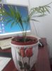 20160212_114204