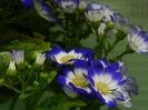 DSCN8412