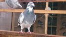 DSC_1019[1]