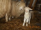 Picture 002