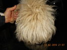 Picture 050