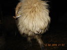 Picture 051