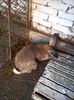 IMG_20160214_165243_1