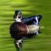114764_ea35f38b7c7e1a015577895ab0f58f00_mdsq
