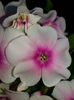 20150727_191544
