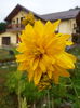 20150731_080715