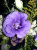 20150810_142807