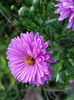 20150825_190357