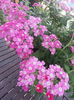 20150828_111358