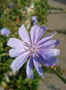 20150830_082700