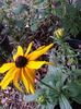 20150913_084055